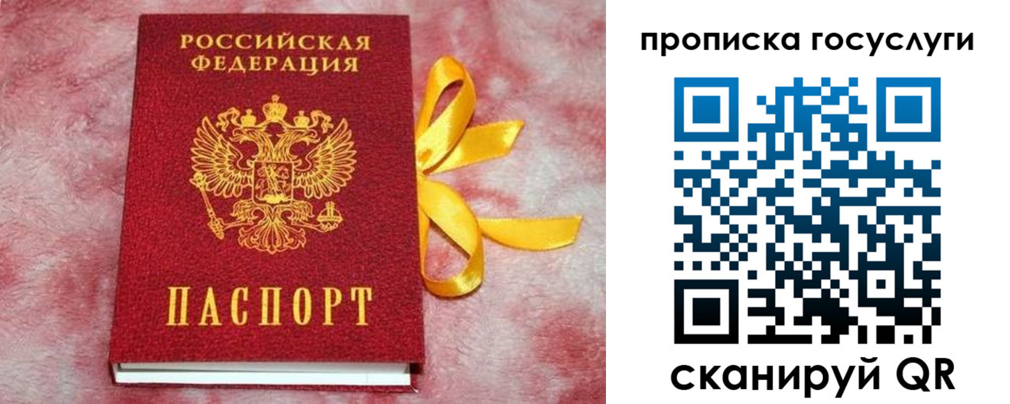 регистрация в Сланцах